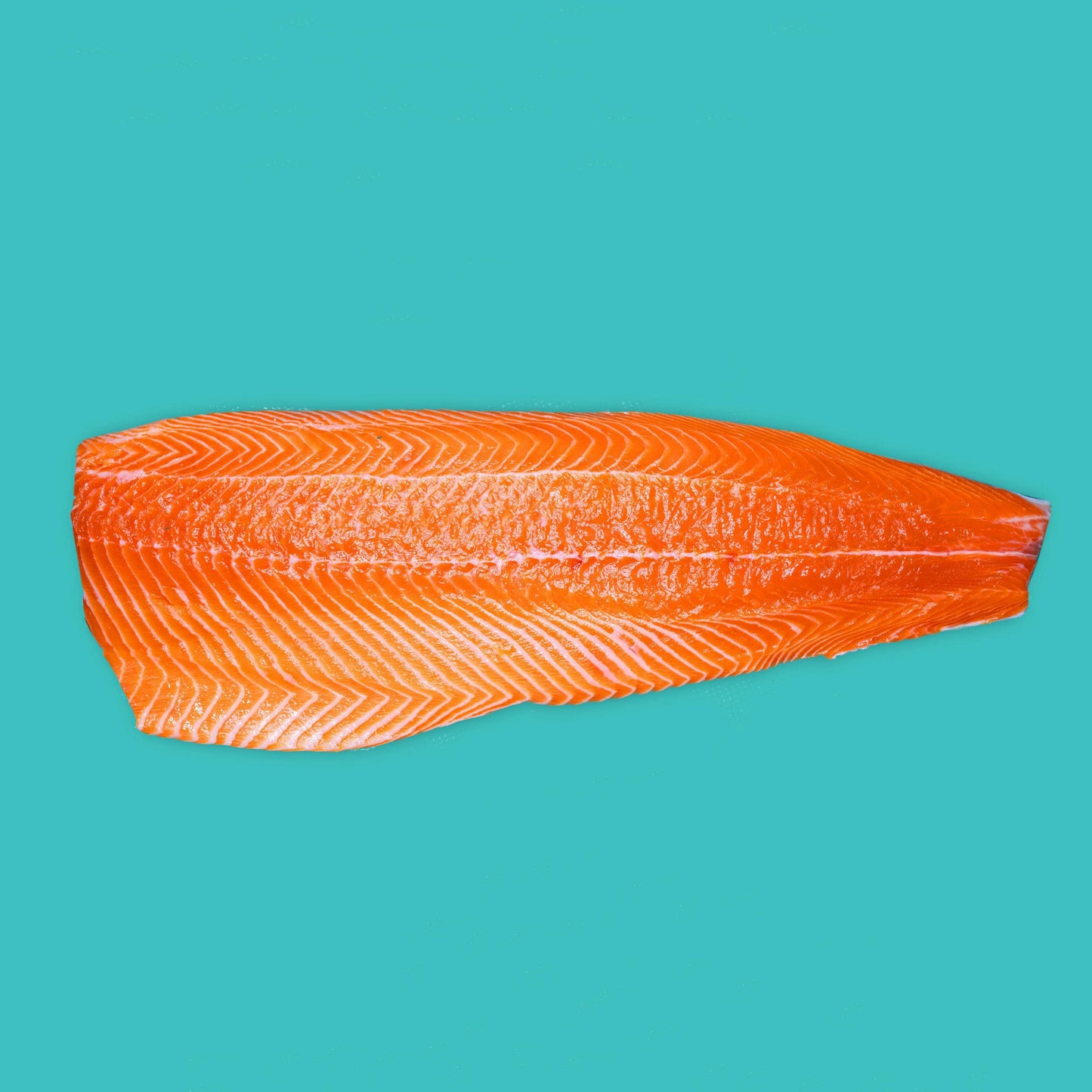 Atlantic Salmon Fillets (Trim C)